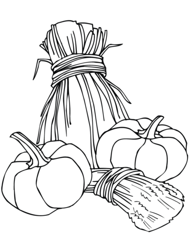 Pumpkin and hay coloring book